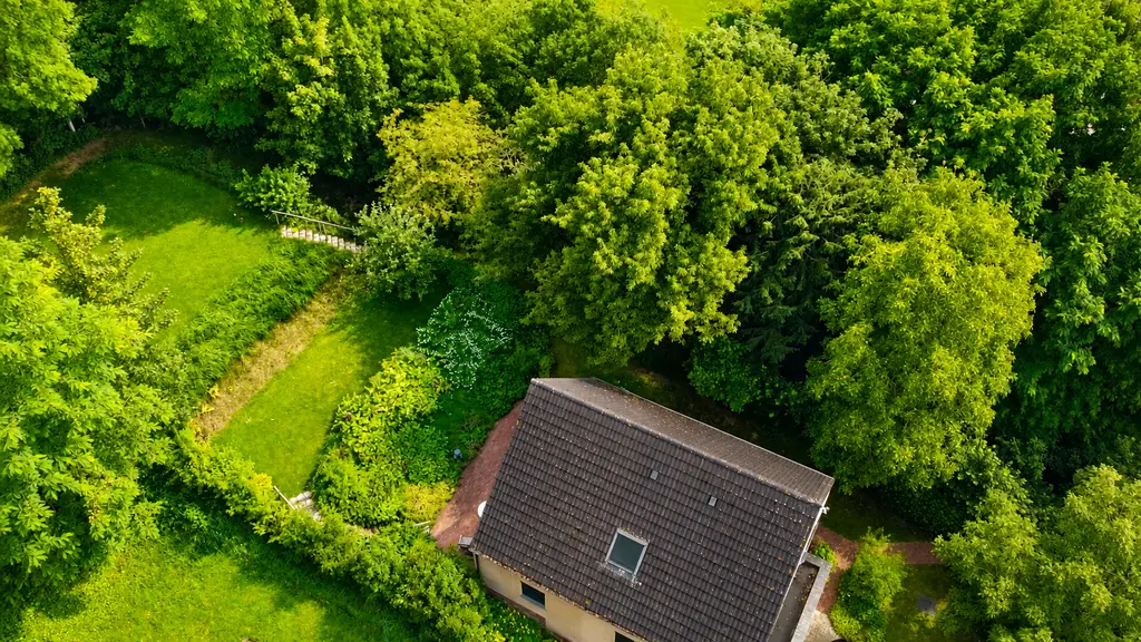 Tuin